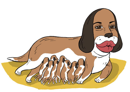 Mike Tofanelli: Ocotomom with pups