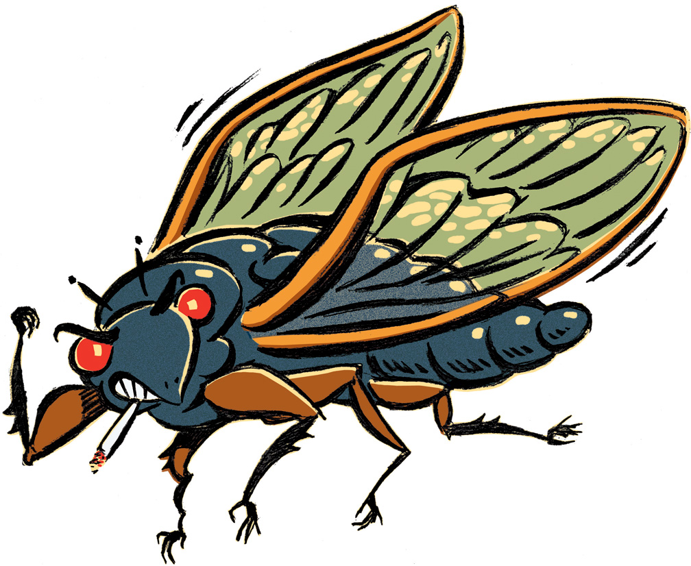 Cicada_web1.jpg