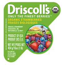 driscolls_new_look_01111.jpg