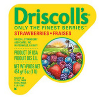 driscolls_new_look_02111.jpg